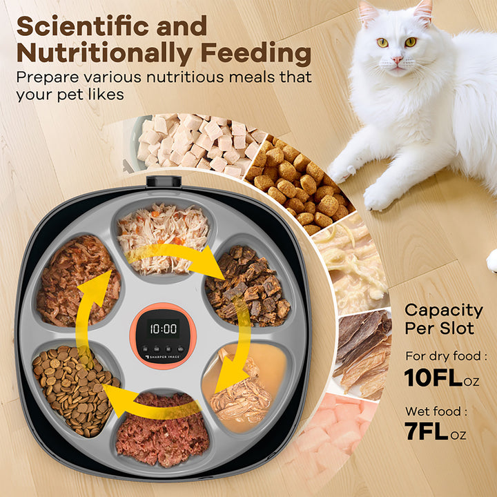 6-Meal Automatic Pet Feeder by Sharper Image