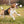 Tennis Ball Launcher for Dogs