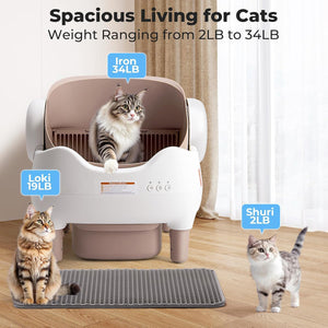 Odor Control Self-Cleaning Kitty Litter Box