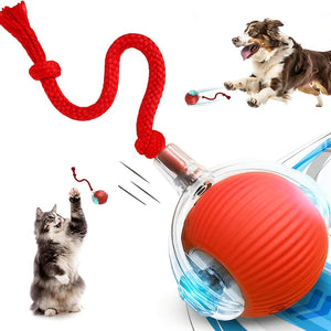 Self-Propelled Cat Enrichment Ball