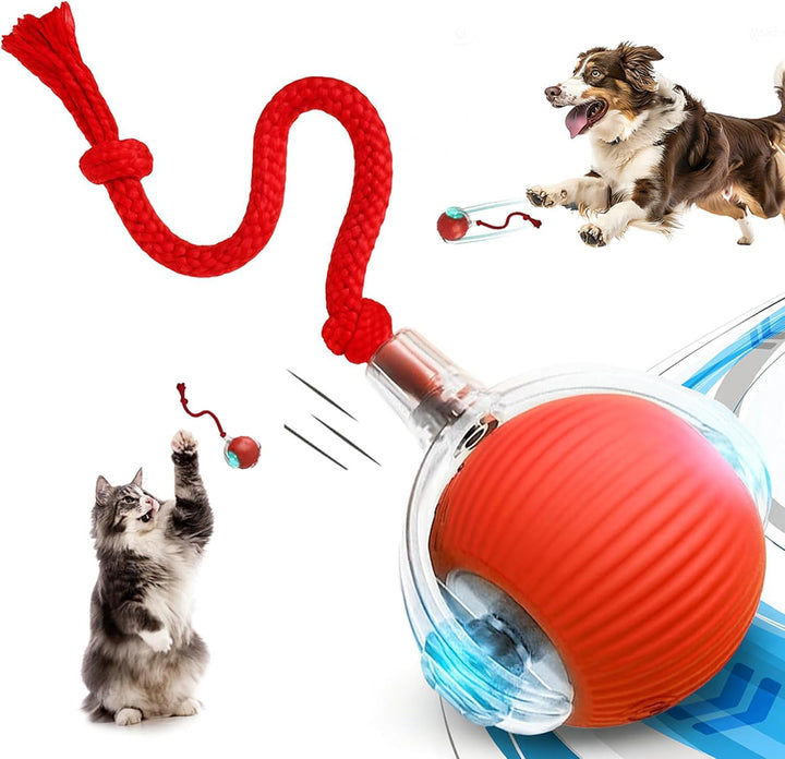 Self-Propelled Cat Enrichment Ball