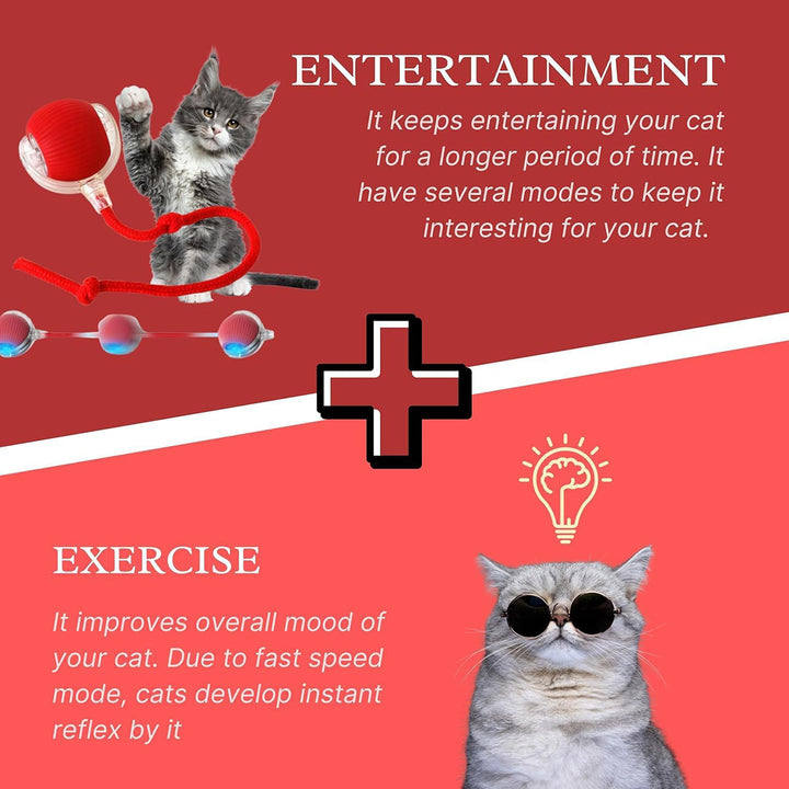 Self-Propelled Cat Enrichment Ball