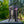 Wireless 1/4 Acre Flying Insect and Mosquito Trap