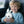 AI Interactive Bunny Companion