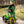 John Deere 3-Wheeled Pedal Tractor With Trailer