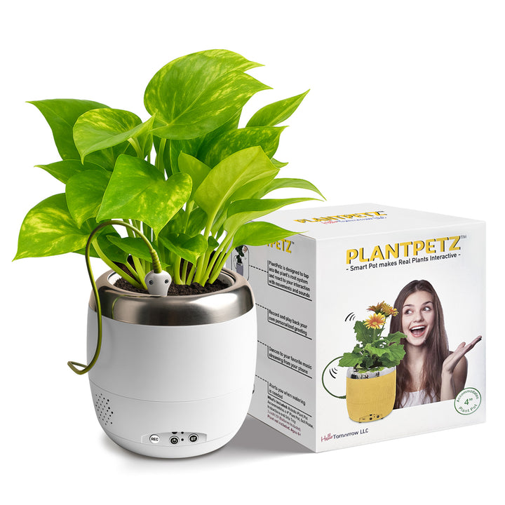 Interactive 4'' Smart Plant Pot with Speaker