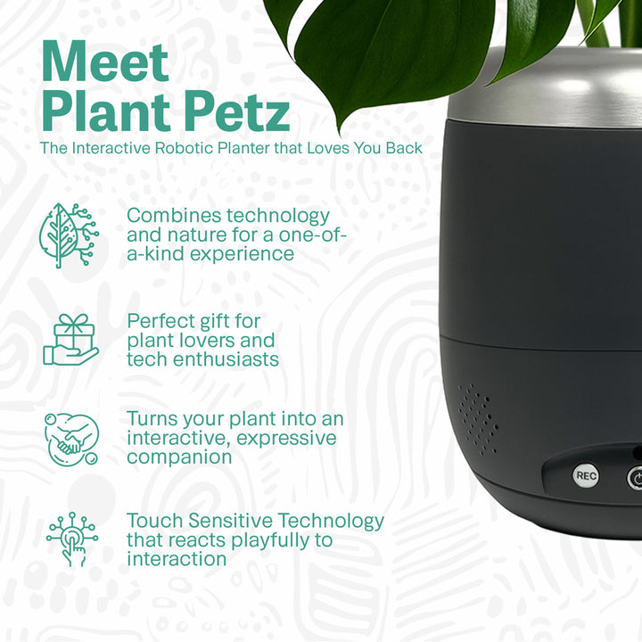 Interactive 4'' Smart Plant Pot with Speaker