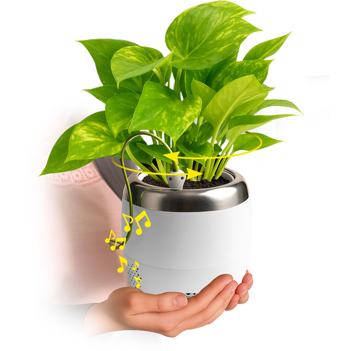 Interactive 4'' Smart Plant Pot with Speaker