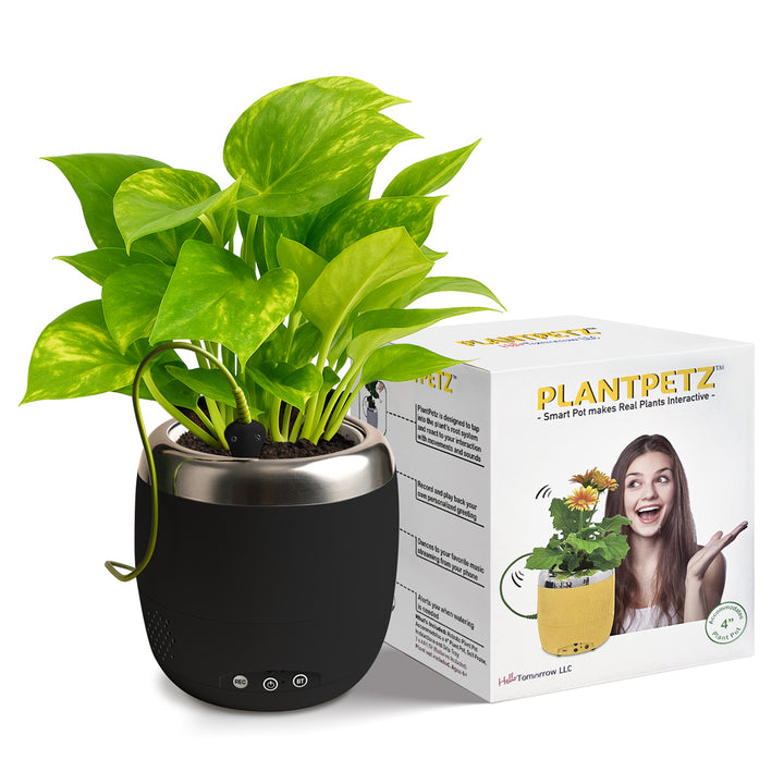 Interactive 4'' Smart Plant Pot with Speaker