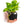 Interactive 4'' Smart Plant Pot with Speaker