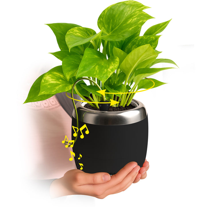Interactive 4'' Smart Plant Pot with Speaker