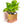 Interactive 4'' Smart Plant Pot with Speaker