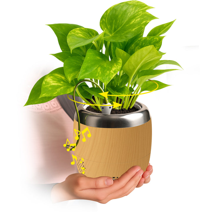 Interactive 4'' Smart Plant Pot with Speaker