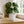 Interactive 4'' Smart Plant Pot with Speaker