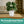 Interactive 6'' Smart Plant Pot with Speaker