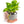 Interactive 6'' Smart Plant Pot with Speaker