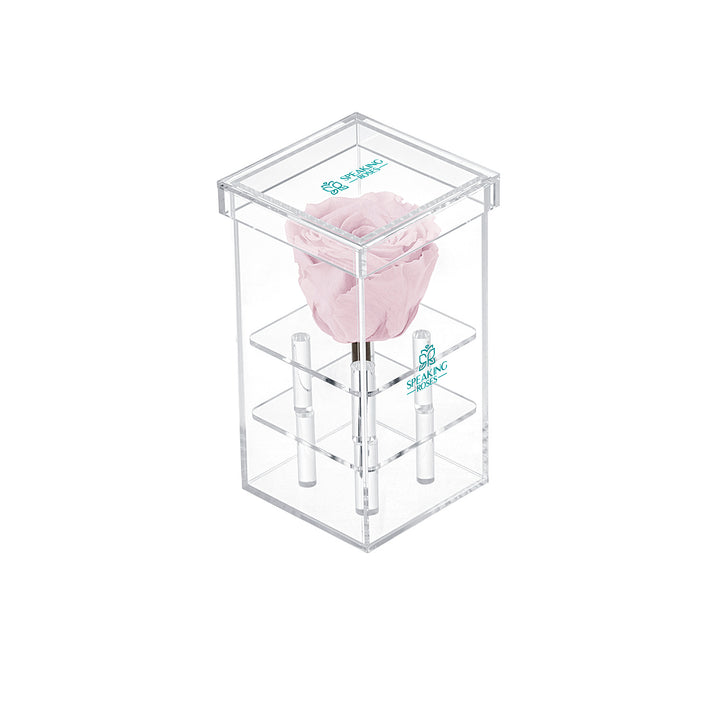 Single Stem Preserved Rose