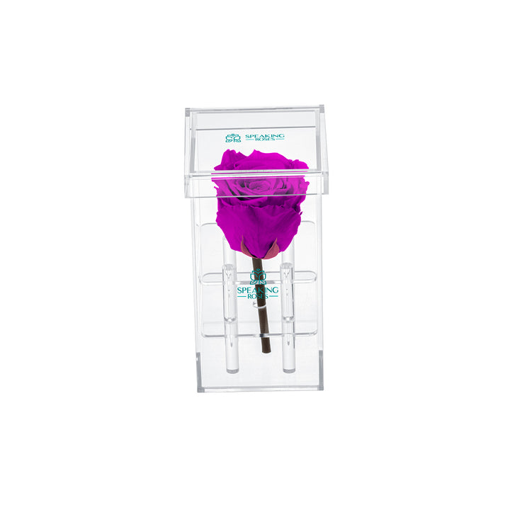 Single Stem Preserved Rose