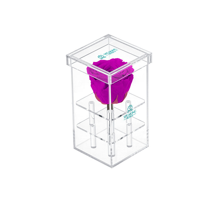 Single Stem Preserved Rose