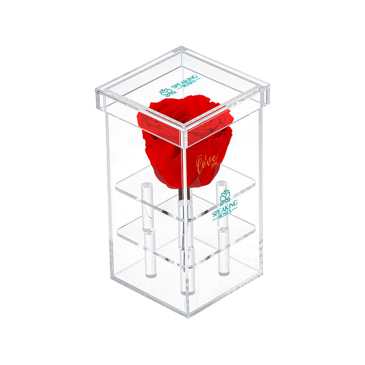 Single Stem Preserved Rose