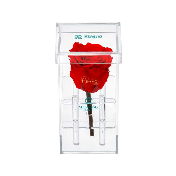 Single Stem Preserved Rose
