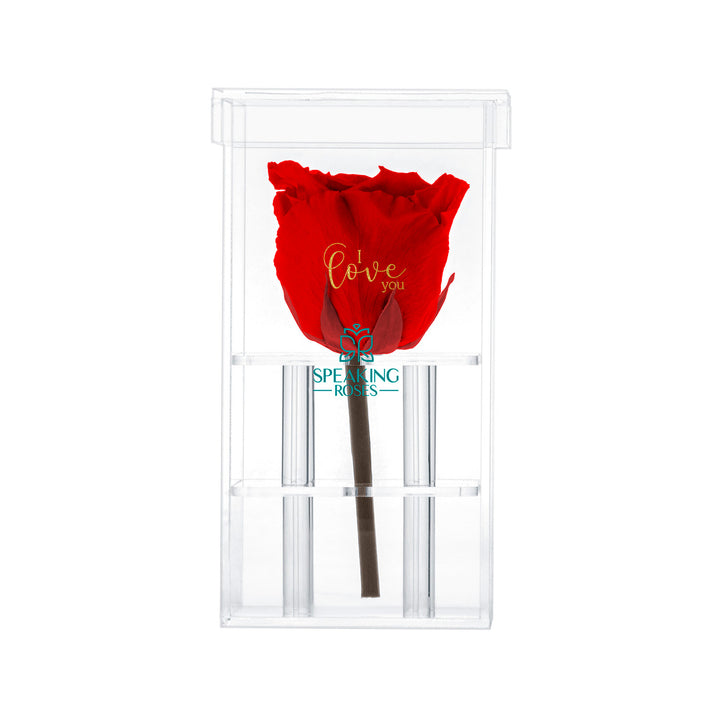 Single Stem Preserved Rose