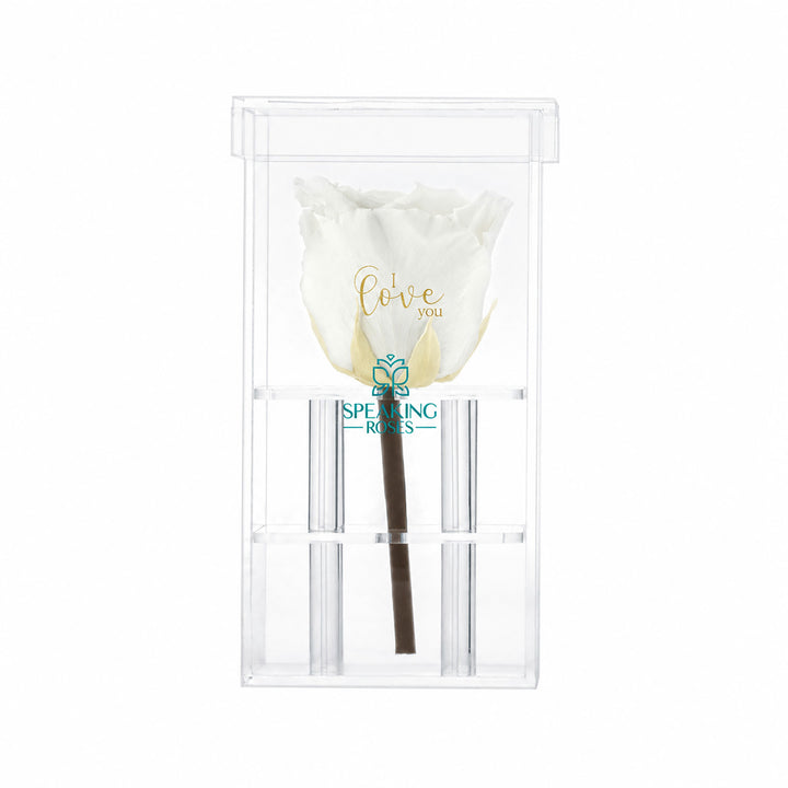 Single Stem Preserved Rose