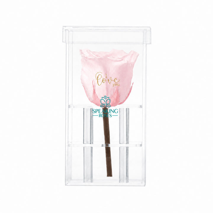 Single Stem Preserved Rose