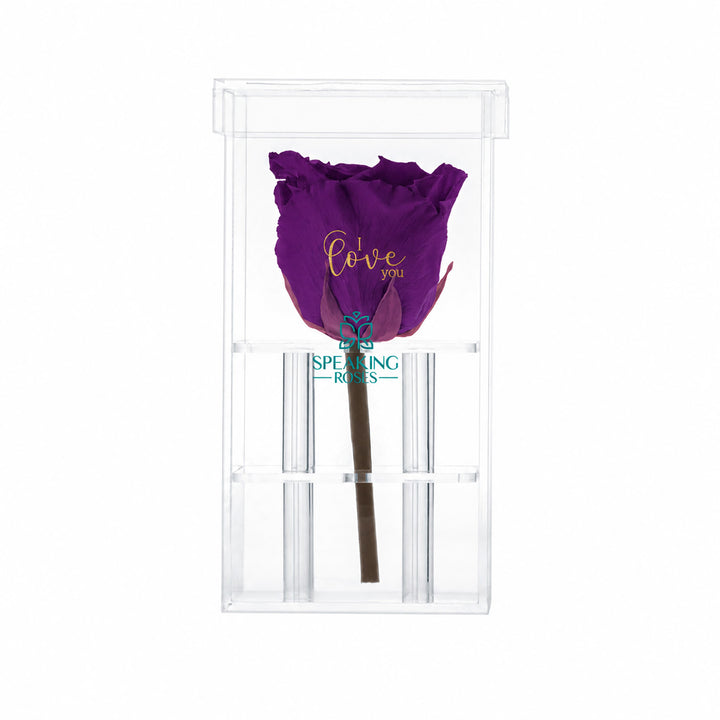 Single Stem Preserved Rose
