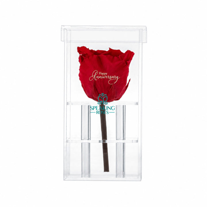 Single Stem Preserved Rose