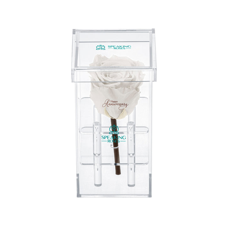 Single Stem Preserved Rose