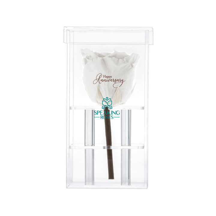 Single Stem Preserved Rose