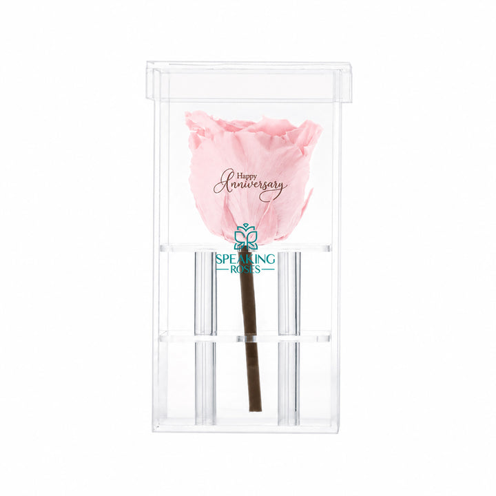 Single Stem Preserved Rose