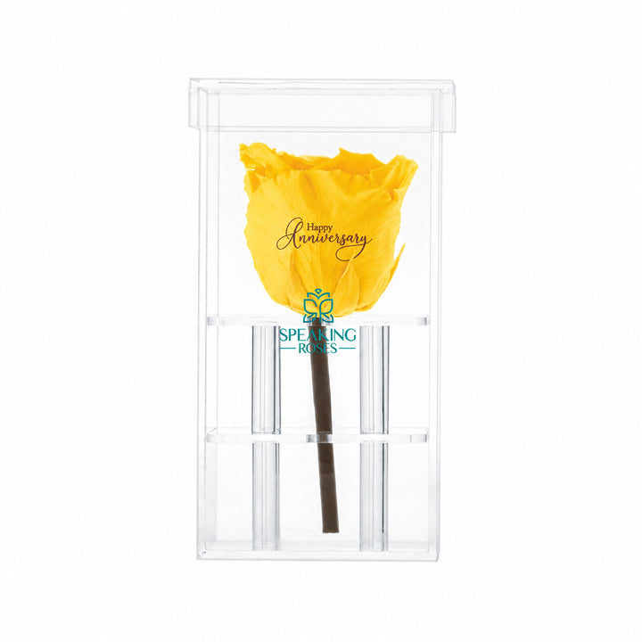 Single Stem Preserved Rose