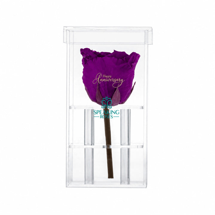 Single Stem Preserved Rose