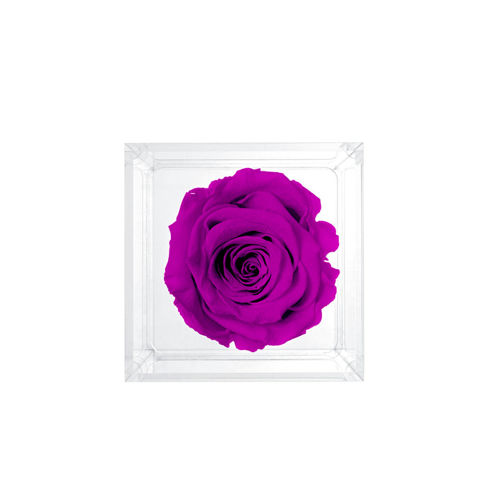 Single Stem Preserved Rose