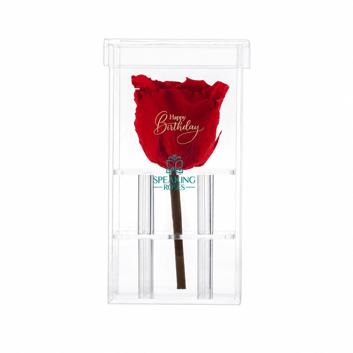 Single Stem Preserved Rose