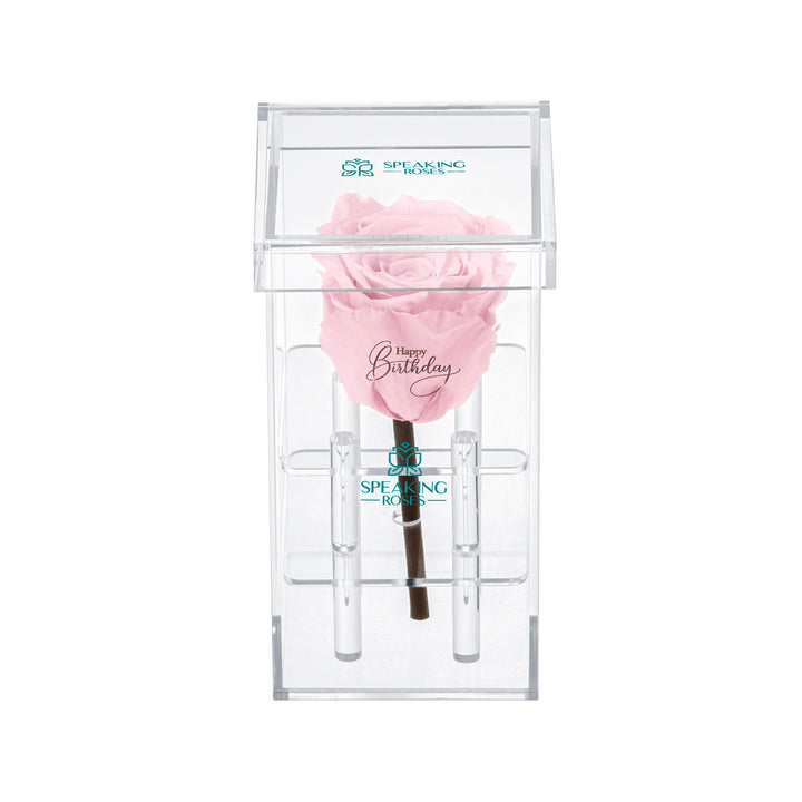 Single Stem Preserved Rose