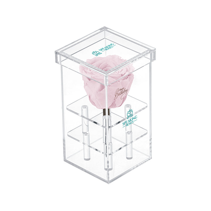 Single Stem Preserved Rose