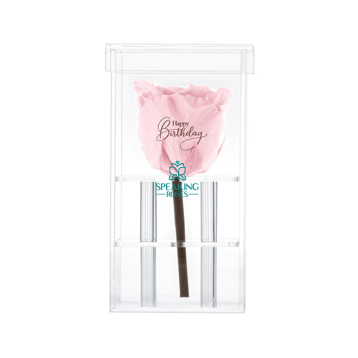 Single Stem Preserved Rose