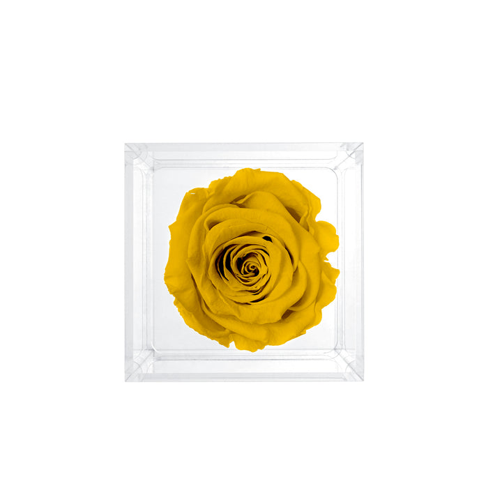 Single Stem Preserved Rose