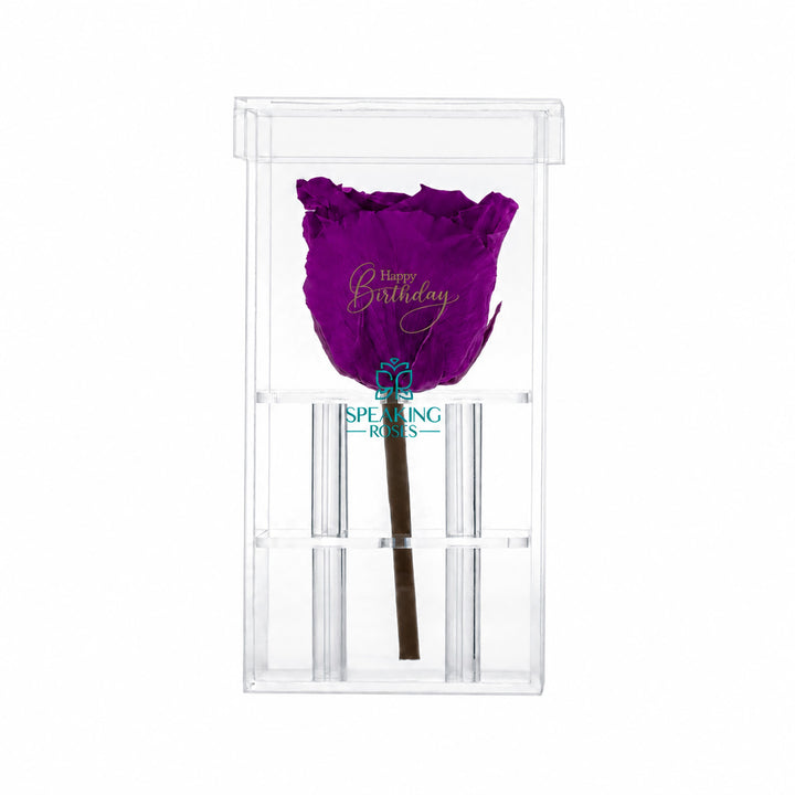 Single Stem Preserved Rose
