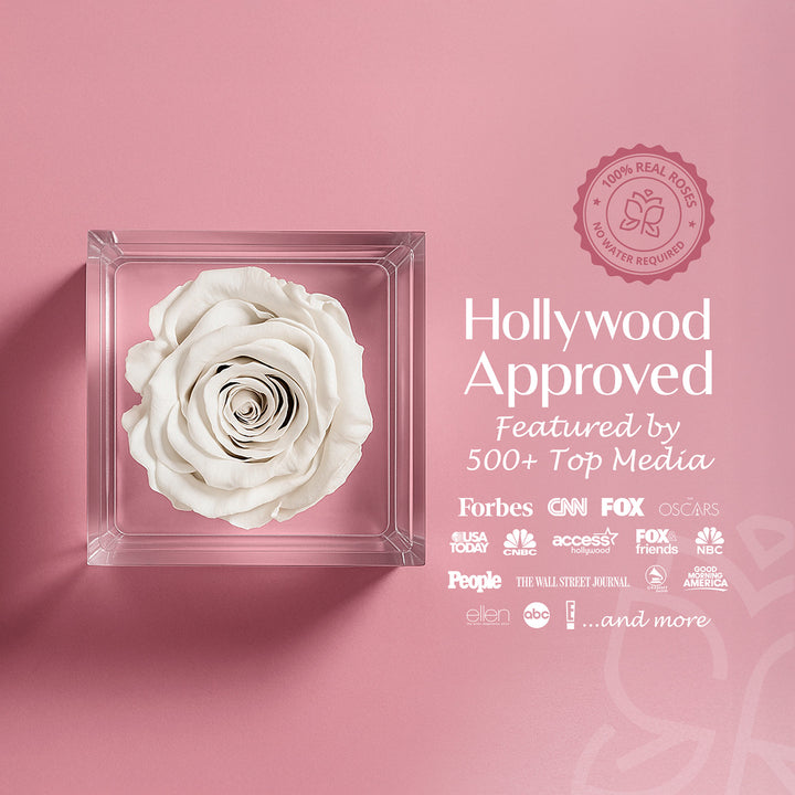 Single Stem Preserved Rose