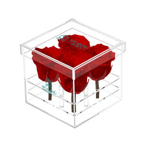 Preserved Roses (4 Stems)