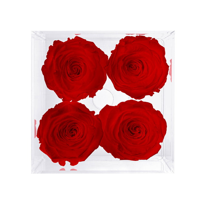 Preserved Roses (4 Stems)