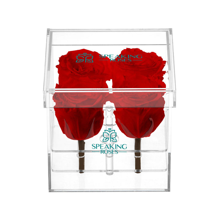 Preserved Roses (4 Stems)