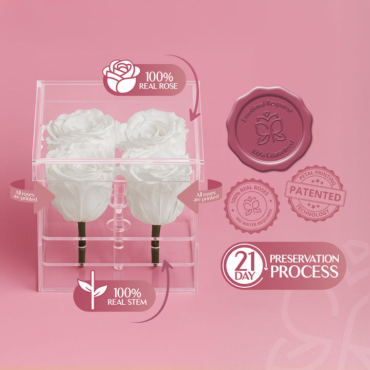 Preserved Roses (4 Stems)