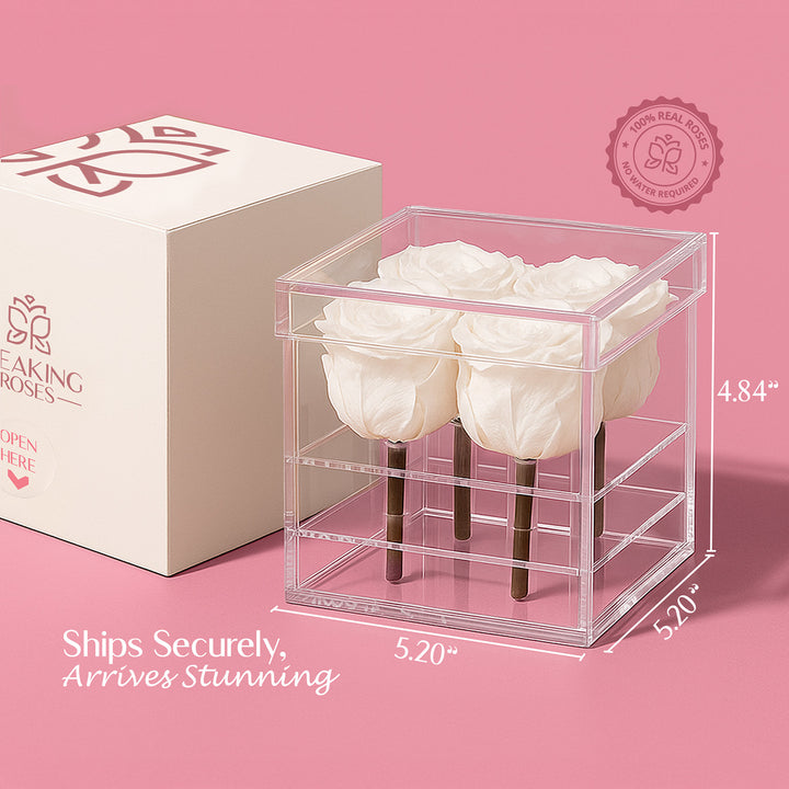Preserved Roses (4 Stems)