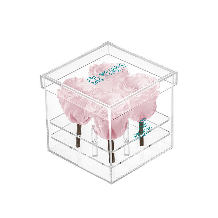 Preserved Roses (4 Stems)