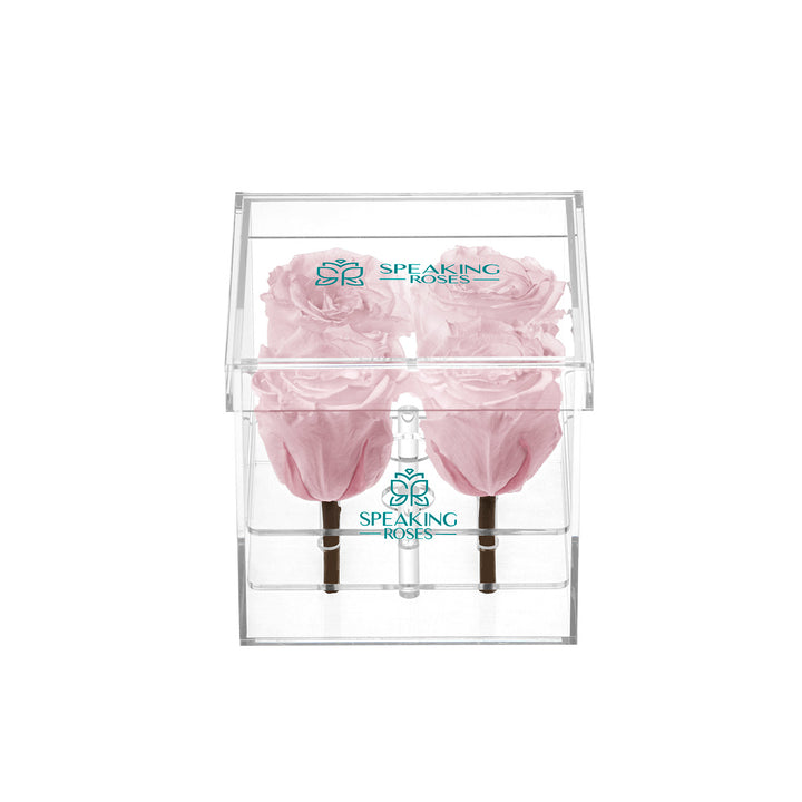 Preserved Roses (4 Stems)